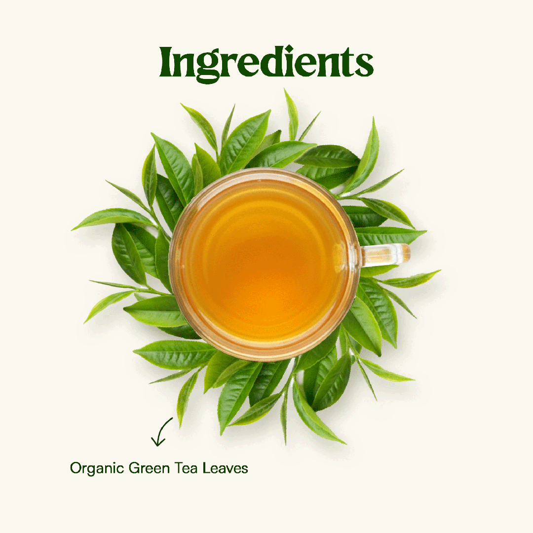 Daily Detox Green Tea | Darjeeling Loose Leaf